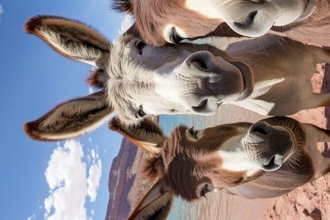 couples-date-at-the-lake-paddleboarding-and-picnic