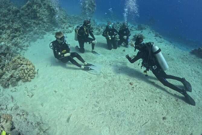 Course for Padi OW in Red Sea and Sinai - Key Points