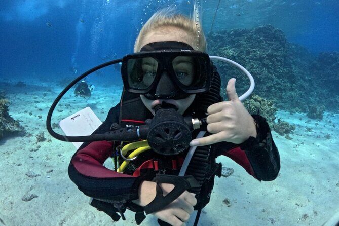 Course for Padi OW in Red Sea and Sinai - The Complete Experience: What to Expect