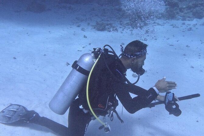 Course for Padi OW in Red Sea and Sinai - Who Should Consider This Experience?