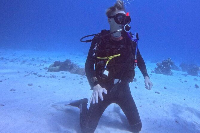 Course for Padi OW in Red Sea and Sinai - FAQs