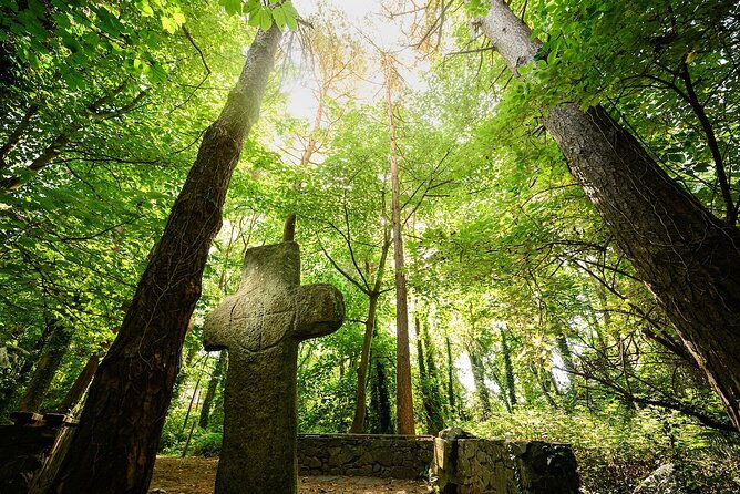 courtown-woodland-guided-tour