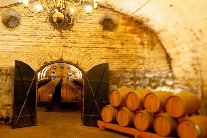 cousino-macul-and-concha-y-toro-wineries-day-trip-from-santiago