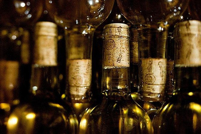 cousino-macul-and-concha-y-toro-wineries-day-trip-from-santiago