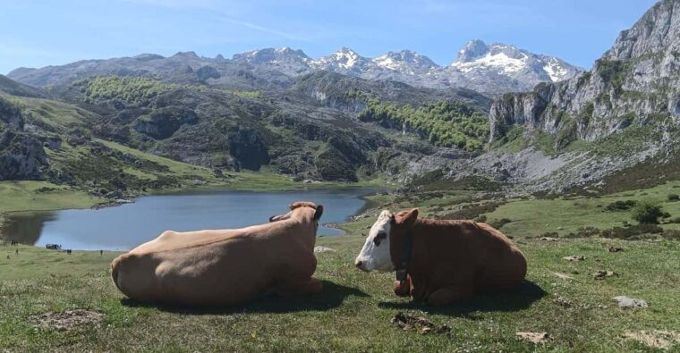 covadonga-and-historic-centers-of-cangas-de-onis-and-lastres