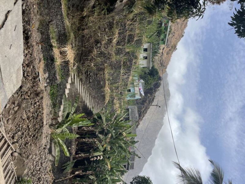 CovaPaúl Valley Trek: Santo Antão Day Trip by Ferry - What Makes This Tour Stand Out?