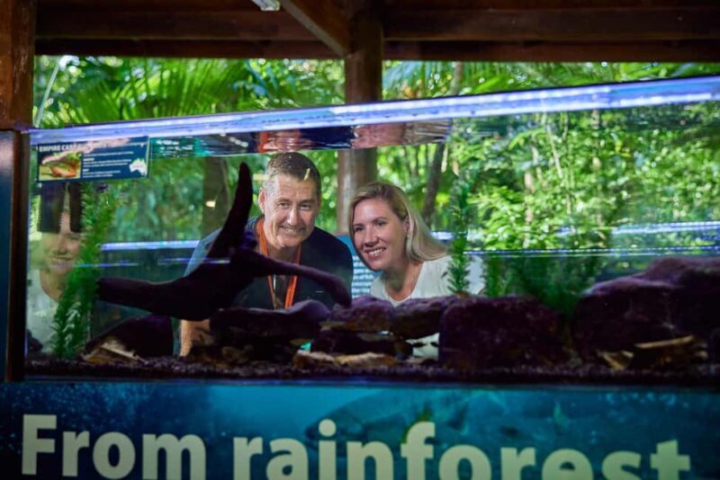 Cow Bay: Daintree Discovery Centre Entry Ticket - An In-Depth Look at the Daintree Discovery Centre