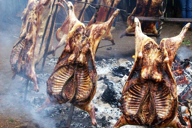 coyhaique-tour-shore-excursion-from-p-chacabuco-include-lunch