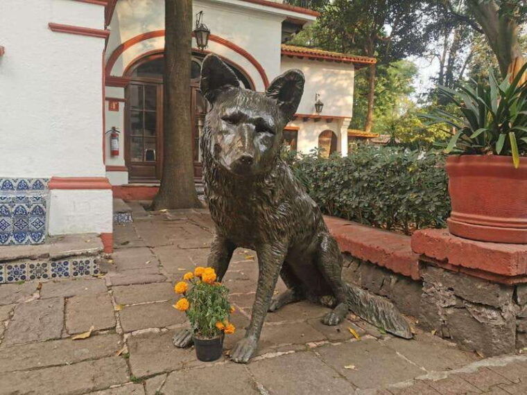 coyoacan-walking-tour-myths-legends-and-local-secrets