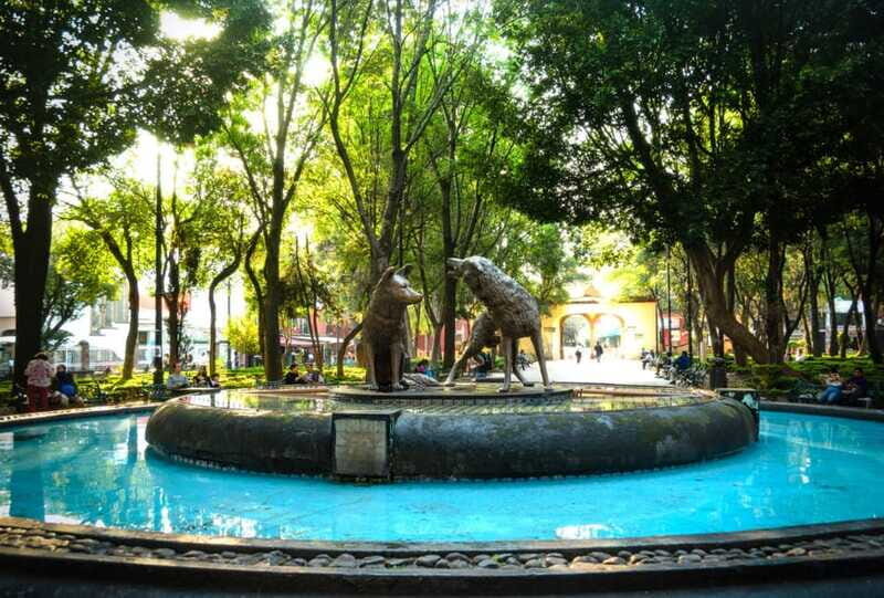 Coyoacán & Xochimilco: Discover an oasis in Mexico City - Who Should Consider This Tour?