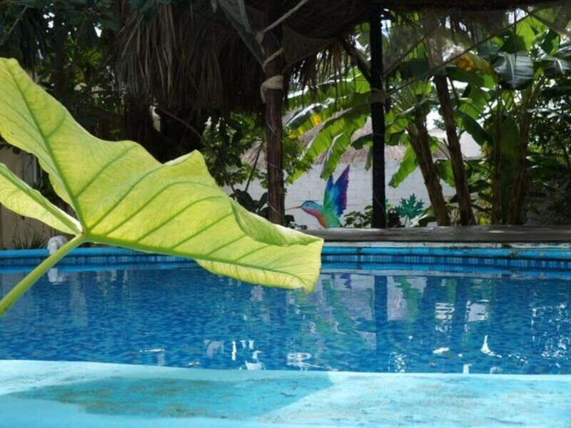Cozumel: 10 Day 200-Hour Kundalini Yoga Teacher Training - Price and Value Analysis