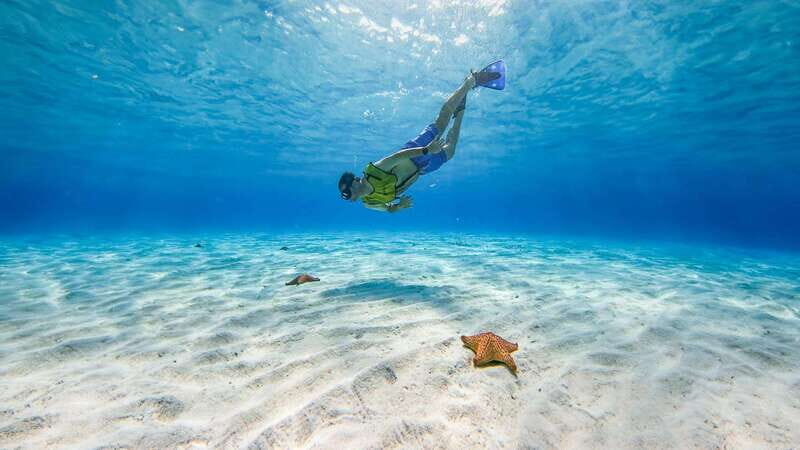 Cozumel: Catamaran, El Cielo Bay & Palancar Reef with Lunch - Key Points
