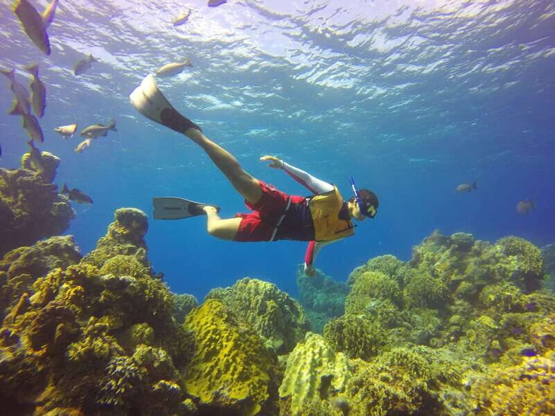 Cozumel: Catamaran, El Cielo Bay & Palancar Reef with Lunch - Exploring Cozumels Top Highlights