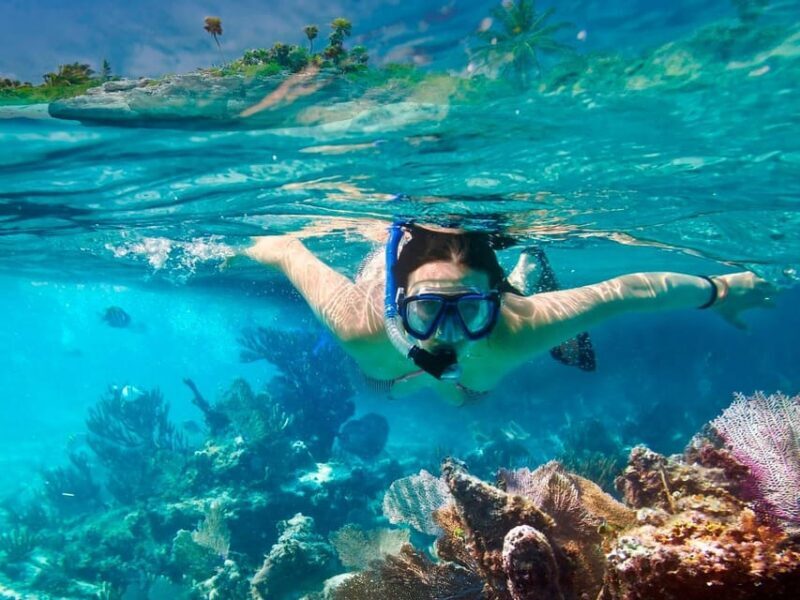 Cozumel: Catamaran Tour, El Cielo, Snorkeling, lunch & Ferry - Frequently Asked Questions