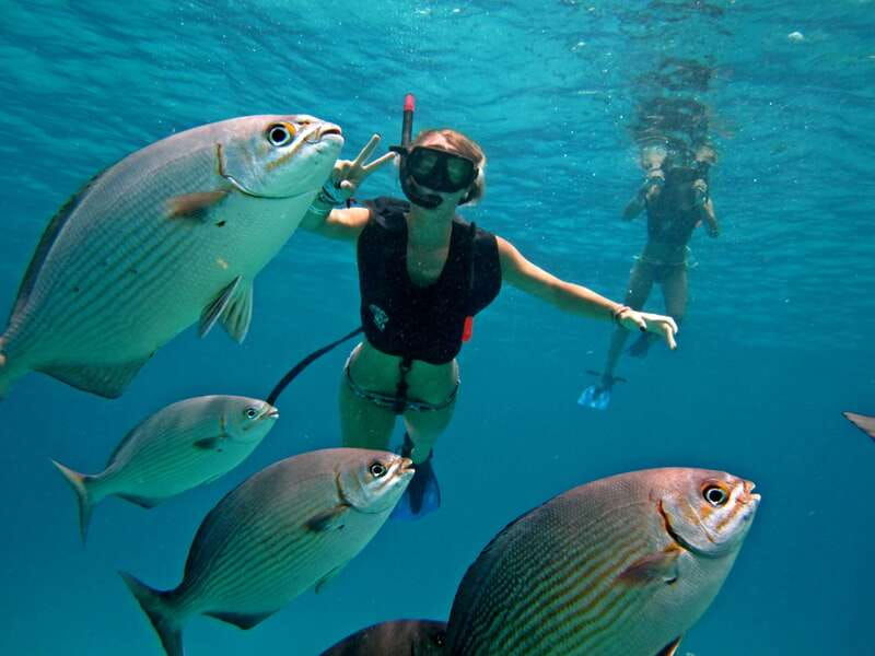 cozumel-chankanaab-beach-adventure-day-pass-with-snorkeling