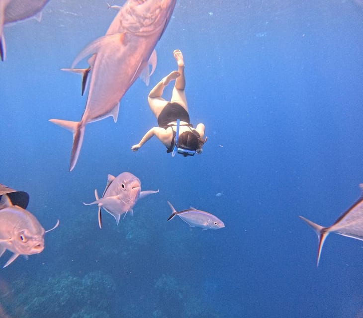 cozumel-cielo-palancar-snorkel-with-snack-drinks