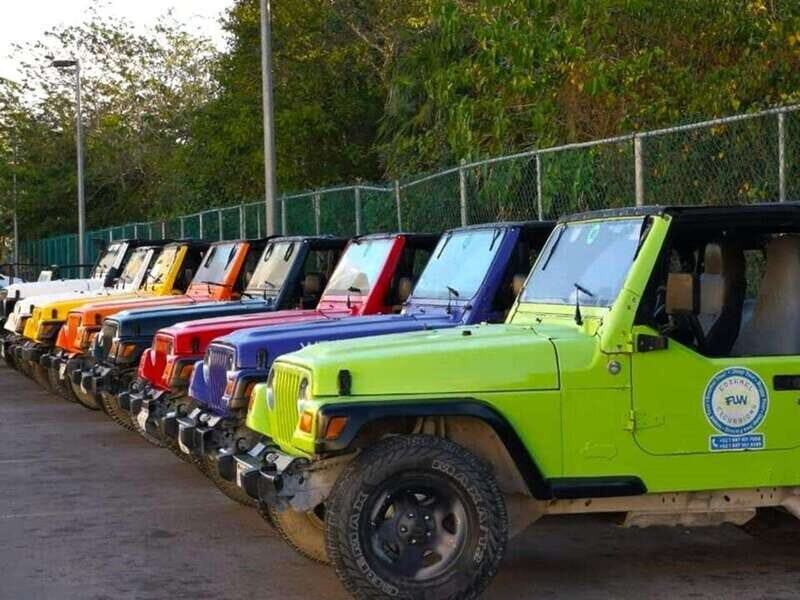 Cozumel: Classic Jeep or Buggy Island Tour to Punta Sur - Key Points