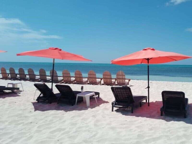 Cozumel: Classic Jeep or Buggy Island Tour to Punta Sur - Practical Details