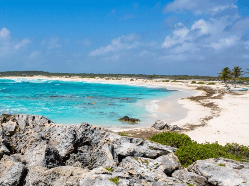 Cozumel: Classic Jeep or Buggy Island Tour to Punta Sur - Final Thoughts