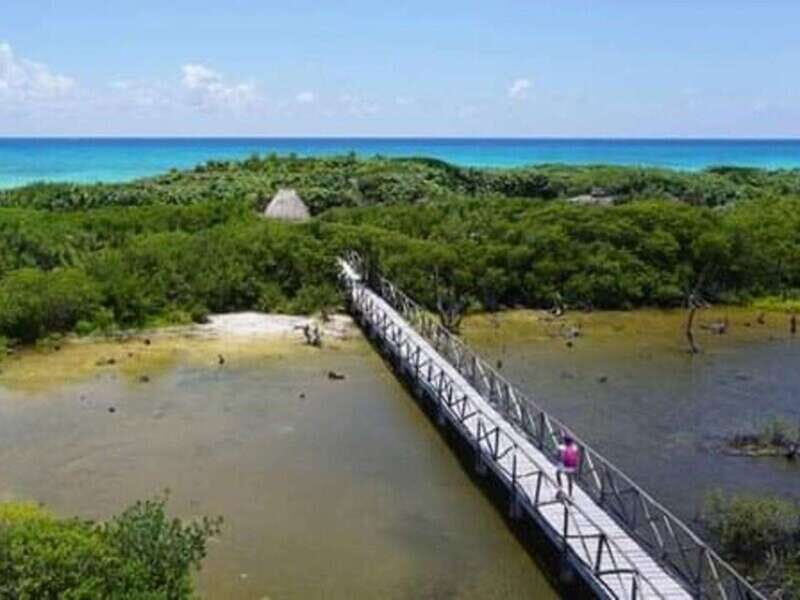 Cozumel: Classic Jeep or Buggy Island Tour to Punta Sur - Who Is This Tour Best For?