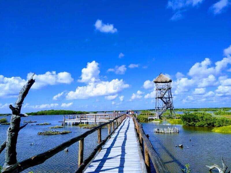 Cozumel: Classic Jeep or Buggy Island Tour to Punta Sur - FAQ