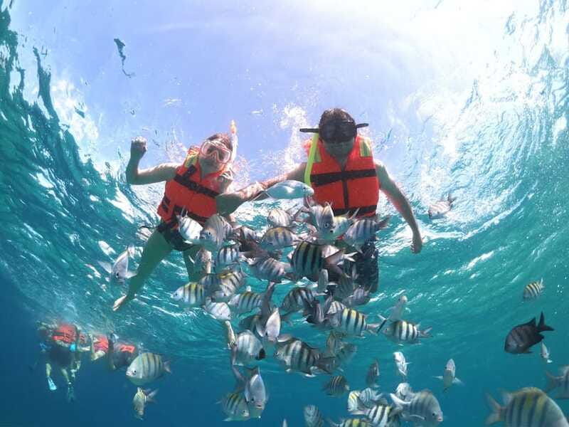 cozumel-clear-boat-snorkel-tour