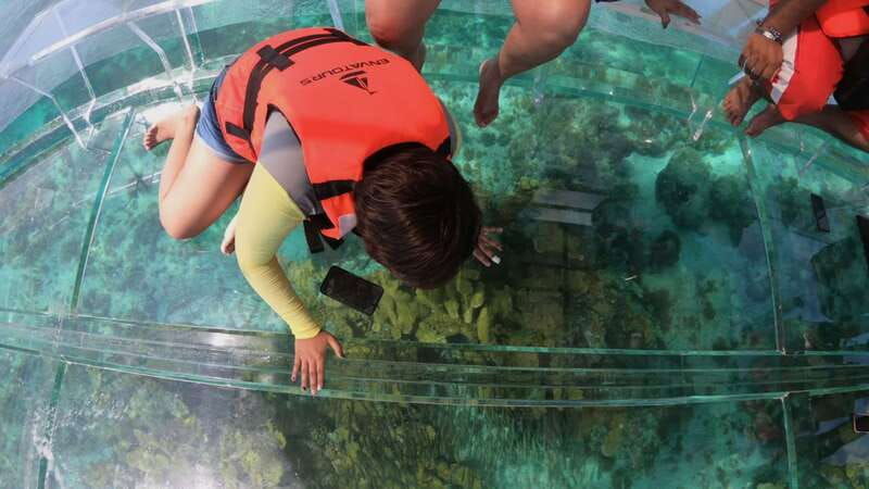 cozumel-clear-boat-snorkel-tour