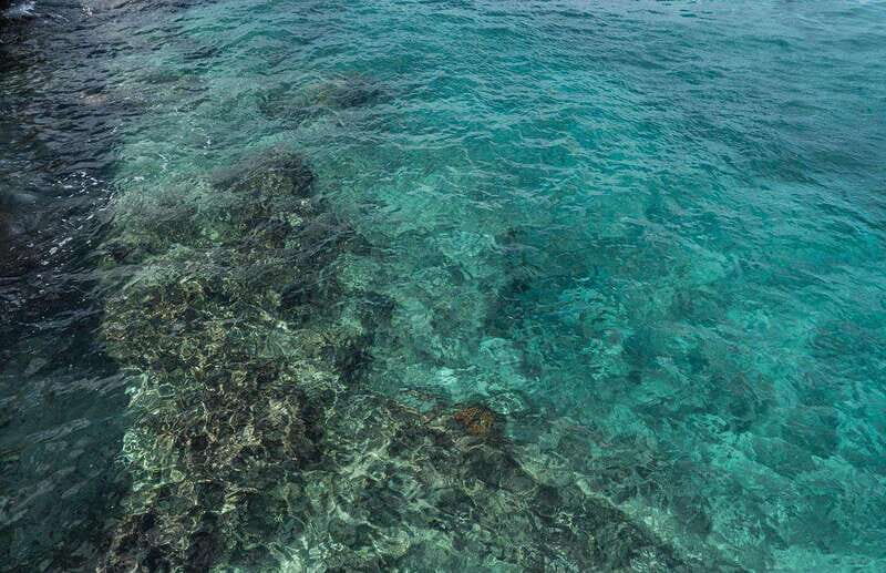Cozumel: Day at El Cielo Bay - Who Will Love This Tour?