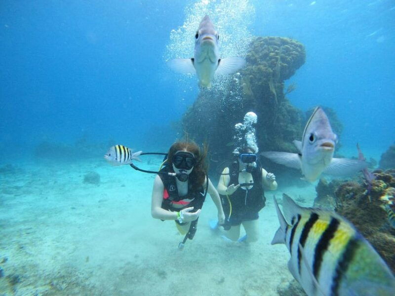 cozumel-discover-scuba-diving-at-chankanaab-marine-park