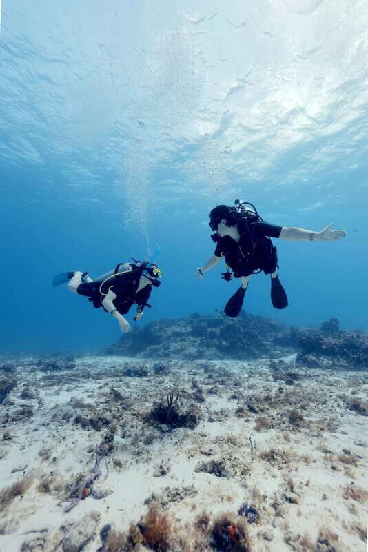Cozumel: Discover Scuba Diving - Why This Tour Works