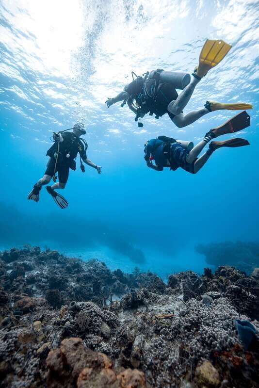 Cozumel: Discover Scuba Diving - Who Should Consider This Tour?