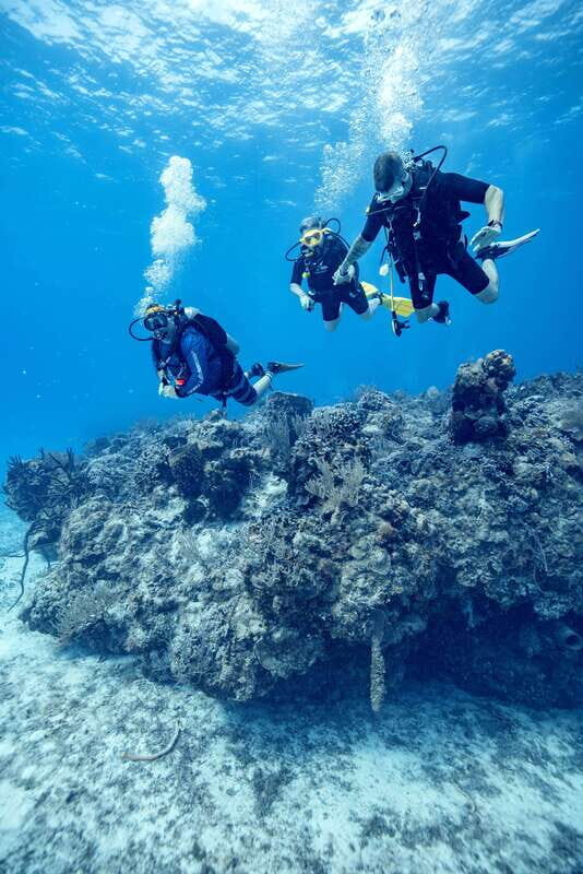 Cozumel: Discover Scuba Diving - FAQ