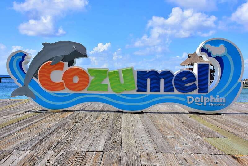 Cozumel: Dolphin Royal Swim and Manatee Interaction - An Overview of the Cozumel Dolphin Royal Swim and Manatee Encounter