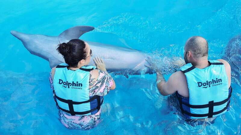 Cozumel: Dolphin Royal Swim and Manatee Interaction - The Genuine Value of This Tour