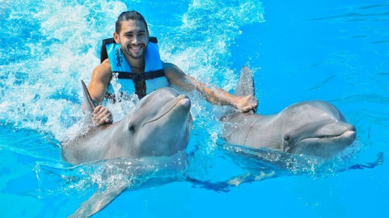 Cozumel: Dolphin Royal Swim and Manatee Interaction - The Downside and Practicalities