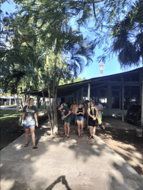 Cozumel: Downtown, Mayan Experience and San Gervasio - Exploring Cozumel: What the Tour Involves