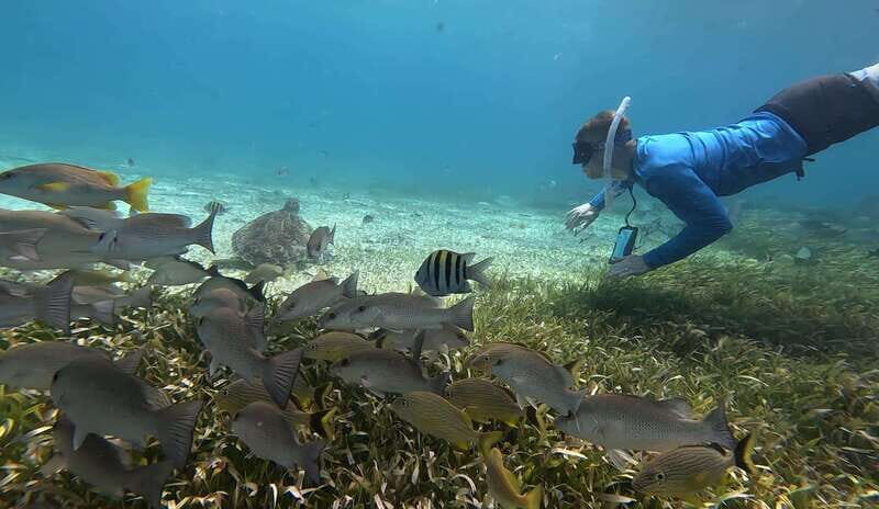 Cozumel, El Cielo: 4-Hour Private Tour - Final Thoughts