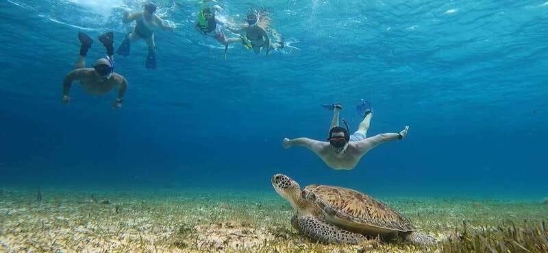 cozumel-el-cielo-4-hour-shared-snorkeling-tour