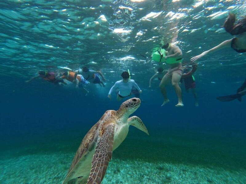 cozumel-el-cielo-4-hour-shared-snorkeling-tour
