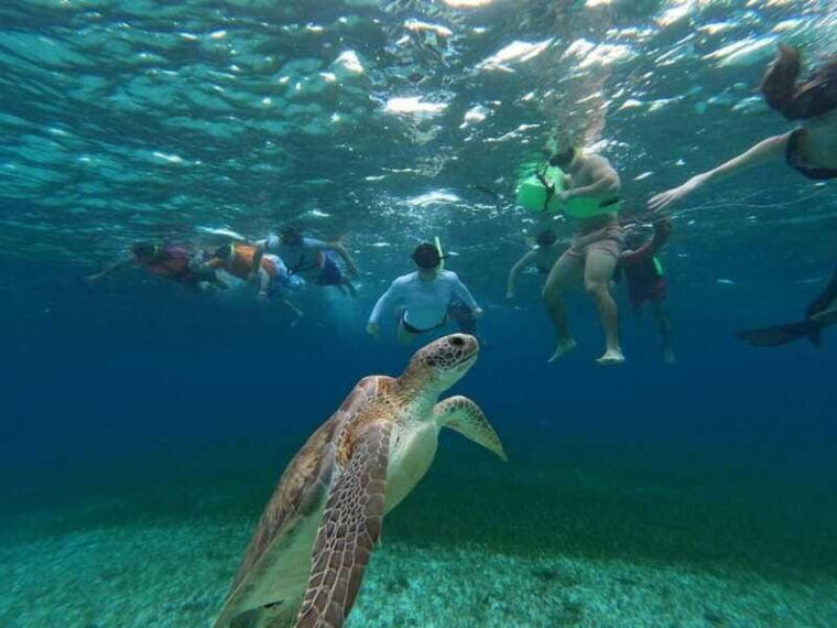 cozumel-el-cielo-4-hour-shared-snorkeling-tour