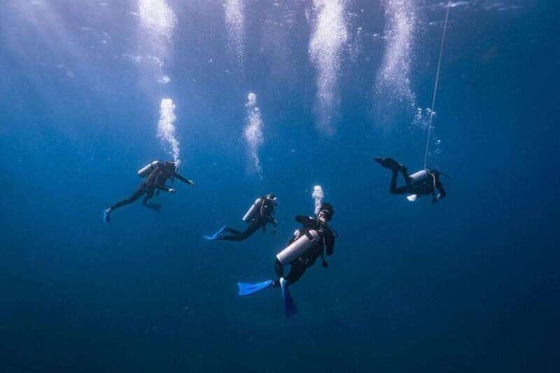 Cozumel: Fun Dive Adventure for Certificates - The Value of the Experience