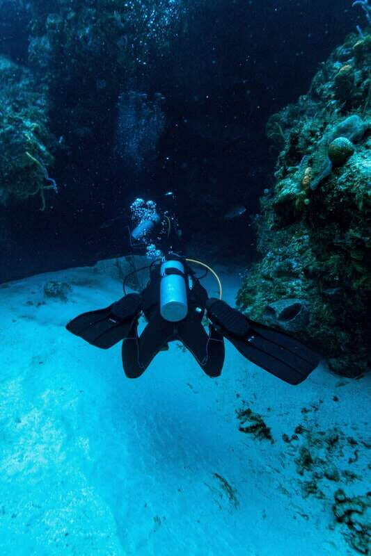 Cozumel: Fun Dive Adventure for Certificates - Frequently Asked Questions