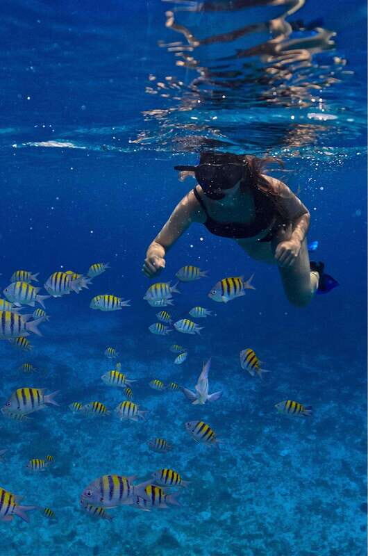 Cozumel Luxury Sailing, Snorkeling + Lunch & Open Bar - The Logistics: What You Need to Know