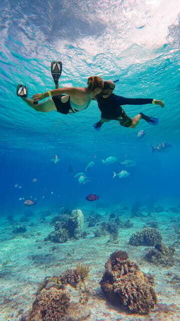 Cozumel Luxury Sailing & Snorkeling - FAQ
