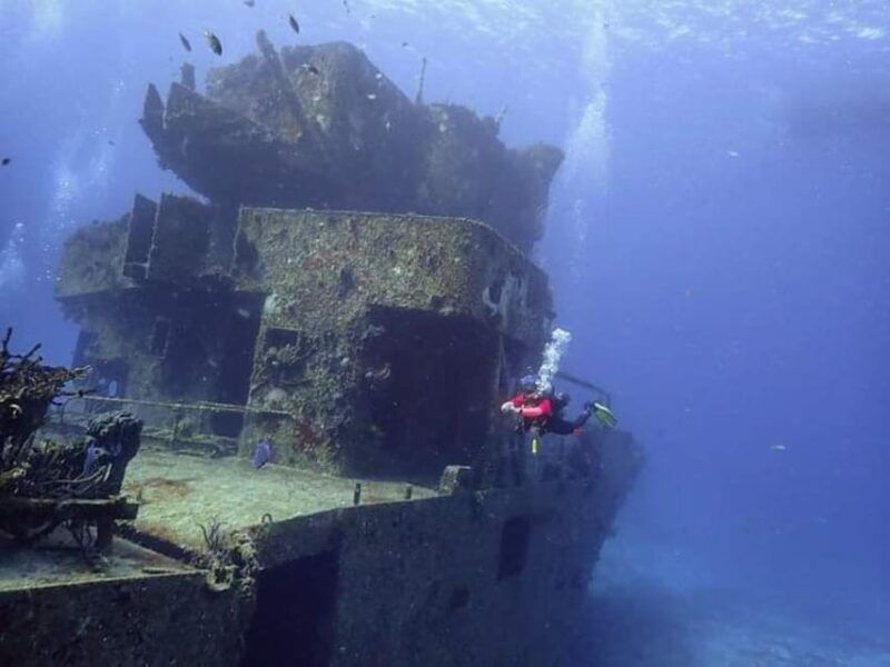 cozumel-night-dive-for-certified-divers