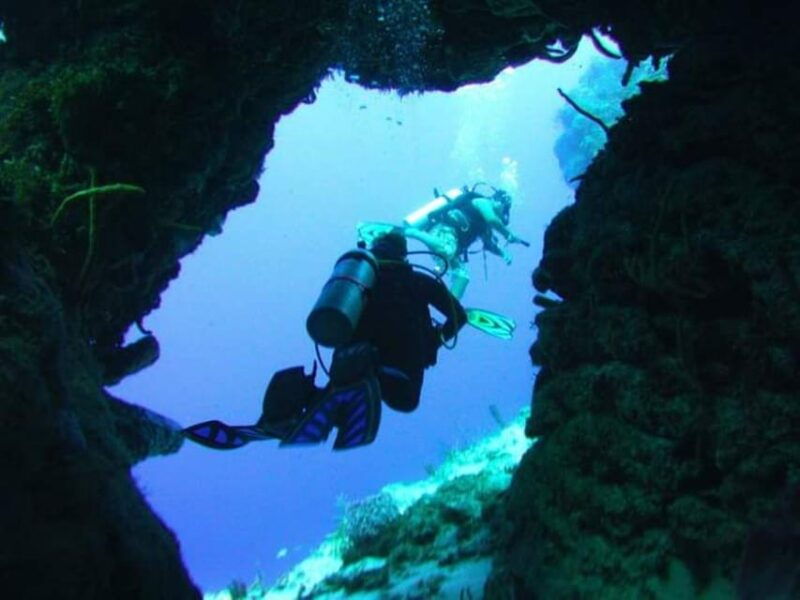 cozumel-night-dive-for-certified-divers