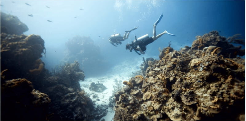 Cozumel: Ocean Dive - Key Points