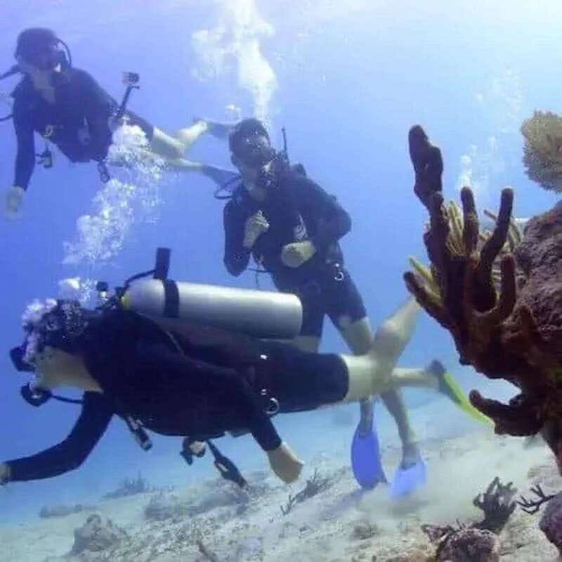 Cozumel: PADI Open Water Certification - What Makes This Tour Stand Out?