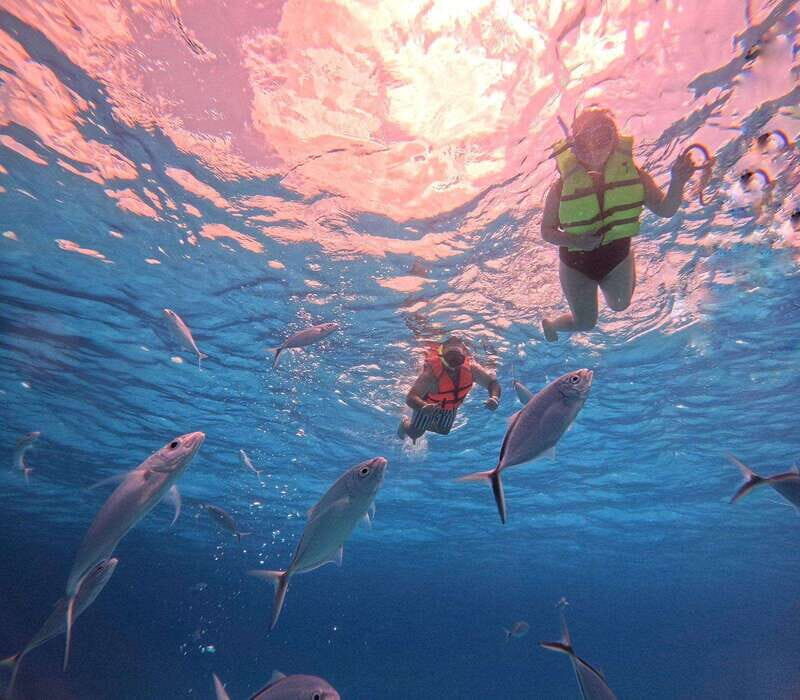 Cozumel: Palancar, Cielo, and Cielito Snorkeling PRIVATE - The Full Experience: What to Expect on the Tour