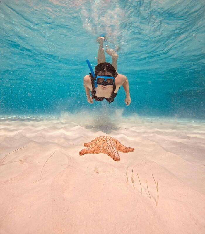 Cozumel: Palancar, Cielo, and Cielito Snorkeling PRIVATE - What Makes This Tour Stand Out?